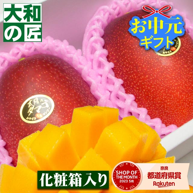 【順次発送可能★】とっておきのギフトにも最適★宮崎県産 完熟アップルマンゴー 太陽のタマゴ[大玉2個入り化粧箱]【売れ筋】 フルーツ 果物 マンゴー 完熟 高級 父の日 父 義父 入学 お供え 御供 ギフト 贈り物 プレゼント グルメ