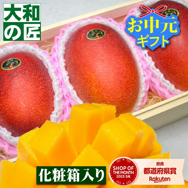 【順次発送可能★】とっておきのギフトにも最適★宮崎県産 完熟アップルマンゴー 太陽のタマゴ[中玉3個入り化粧箱] フルーツ 果物 マンゴー 完熟 高級 父の日 父 義父 入学 お供え 御供 ギフト 贈り物 プレゼント グルメ
