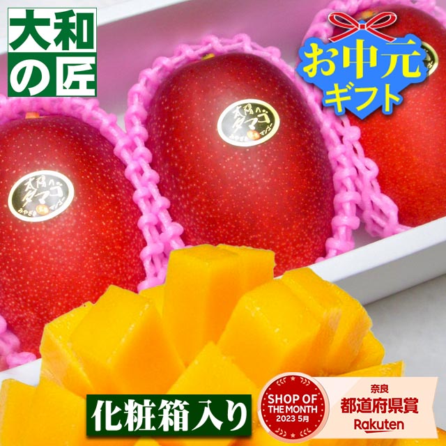 【順次発送可能★】とっておきのギフトにも最適★宮崎県産 完熟アップルマンゴー 太陽のタマゴ[大玉3個入り桐化粧箱] フルーツ 果物 マンゴー 完熟 高級 父の日 父 義父 入学 お供え 御供 ギフト 贈り物 プレゼント グルメ