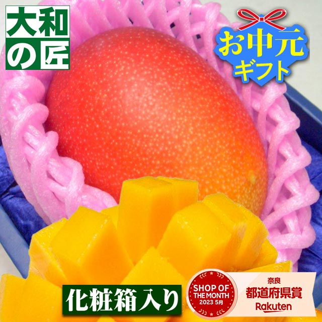 【順次発送可能★】宮崎県産 特選完熟アップルマンゴー[大玉1個入り化粧箱] フルーツ 果物 マンゴー 完熟 高級 父の日 父 義父 入学 お供え 御供 ギフト 贈り物 プレゼント グルメ