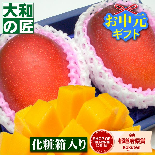 【順次発送可能★】宮崎県産 特選完熟アップルマンゴー[中玉2個入り化粧箱]【売れ筋】 フルーツ 果物 マンゴー 完熟 高級 父の日 父 義父 入学 お供え 御供 ギフト 贈り物 プレゼント グルメ
