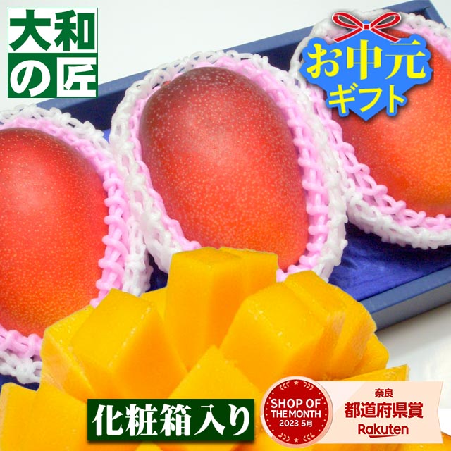 【順次発送可能★】宮崎県産 特選完熟アップルマンゴー[中玉3個入り化粧箱] フルーツ 果物 マンゴー 完熟 高級 父の日 父 義父 お供え 御供 ギフト 贈り物 プレゼント グルメ