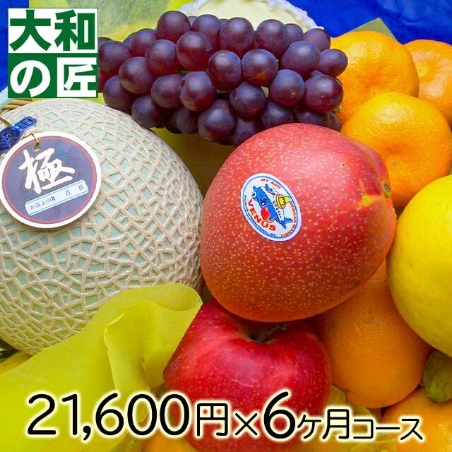 厳選果物屋 フルーツ頒布会20000円x6ヶ月コース｜フルーツ　大和の匠