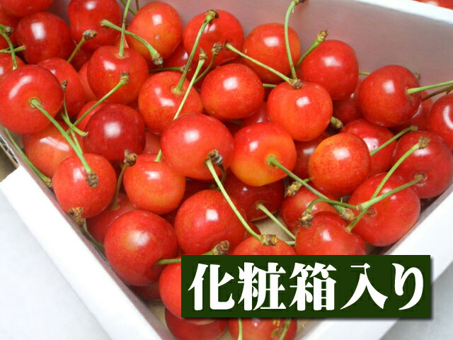【6月下旬以降予定★】【指定日ご遠慮下さいm(_ _)m】山形県産 特選佐藤錦[2Lサイズ500gバラ詰め化粧箱] グルメ 果物 フルーツ さくらんぼ 中元 お中元 御中元 内祝 誕生日 御供 お供 お供え 御見舞 お見舞い サプライズ プレゼント  ギフト 手土産 贈り物 贈答用 お返し