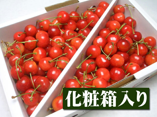 【6月下旬以降予定★】【指定日ご遠慮下さいm(_ _)m】山形県産 特選佐藤錦[2Lサイズ1kgバラ詰め箱] グルメ 果物 フルーツ さくらんぼ 中元 お中元 御中元 内祝 誕生日 御供 お供 お供え 御見舞 お見舞い サプライズ プレゼント  ギフト 手土産 贈り物 贈答用 お返し