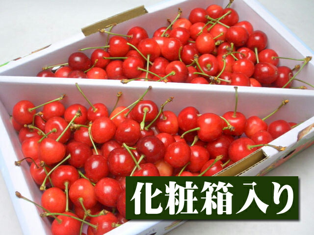 【6月下旬以降予定★】【指定日ご遠慮下さいm(_ _)m】山形県産 特選佐藤錦[Lサイズ1kgバラ詰め箱]【売れ筋】 グルメ 果物 フルーツ さくらんぼ 中元 お中元 御中元 内祝 誕生日 御供 お供 お供え 御見舞 お見舞い サプライズ プレゼント  ギフト 手土産 贈り物 贈答用 お返し