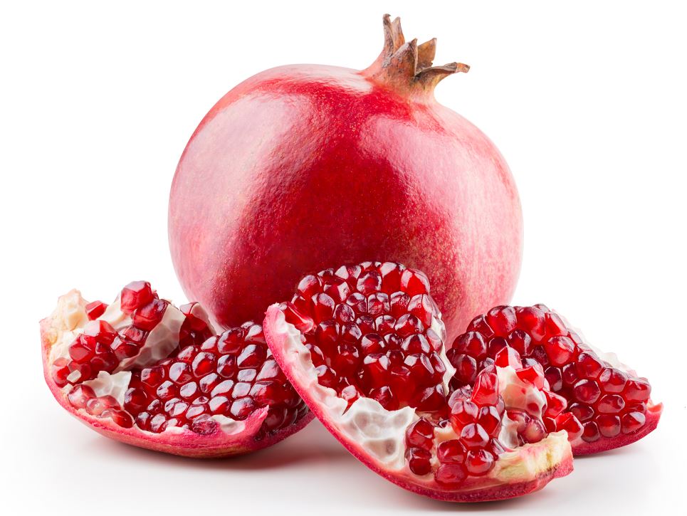 楽天市場】ねじ幹ザクロ【ねじ幹 ザクロ 柘榴 盆栽 実 実のなる