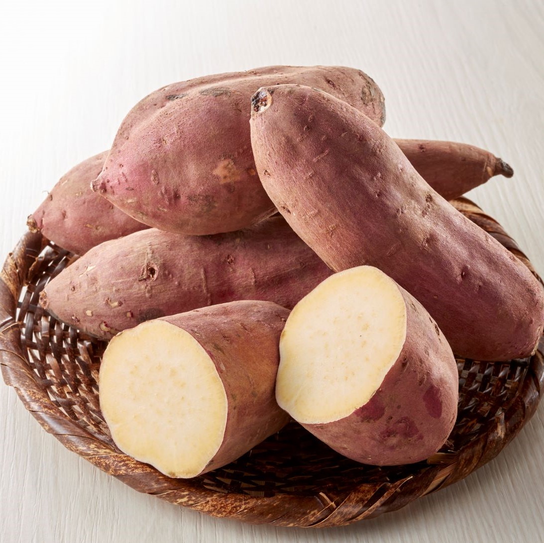 楽天市場】さつまいも苗「安納芋(あんのういも)」苗 50本 : 千草園芸