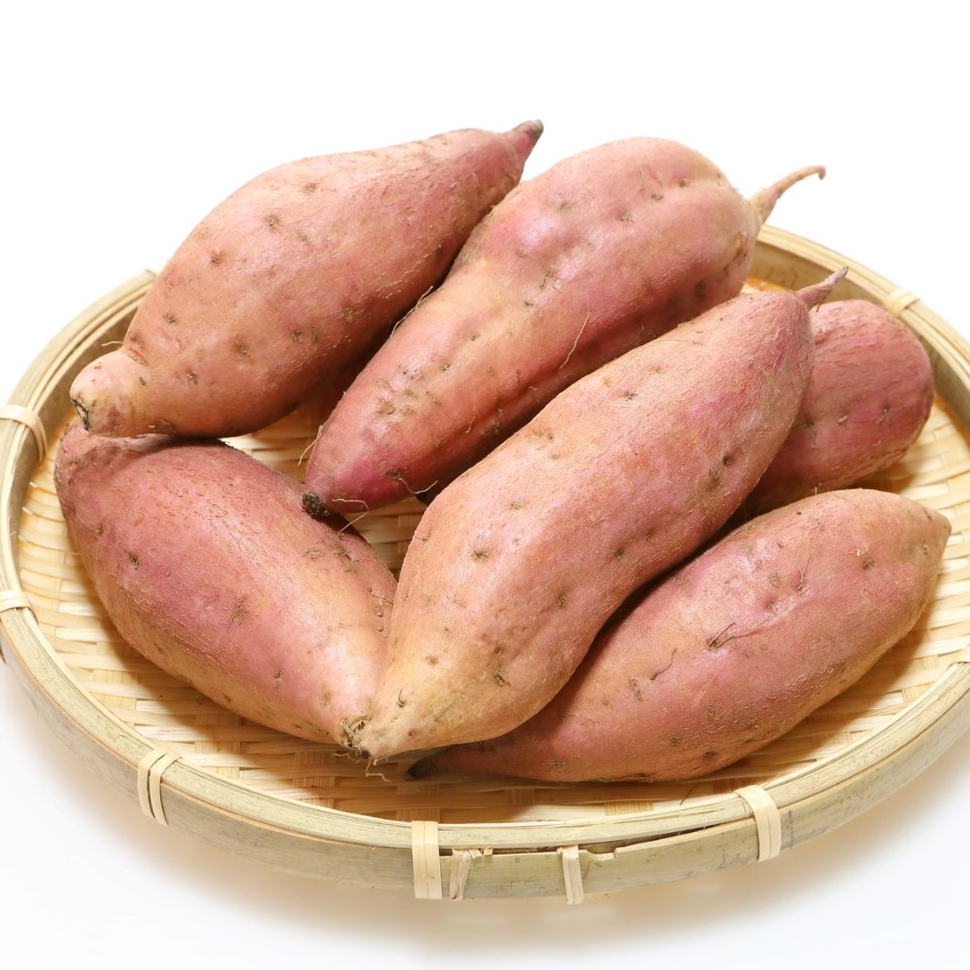 楽天市場】さつまいも苗「安納芋(あんのういも)」苗 50本 : 千草園芸