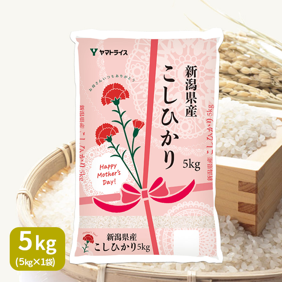 岩手県産 農薬節減米 ひとめぼれ5kg（5kg×1袋) 令和6年産 ヤマト