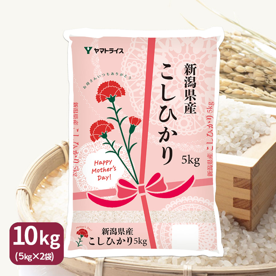 楽天市場】きぬむすめ 静岡県産 10kg 5kg×2 令和6年産 産地直送
