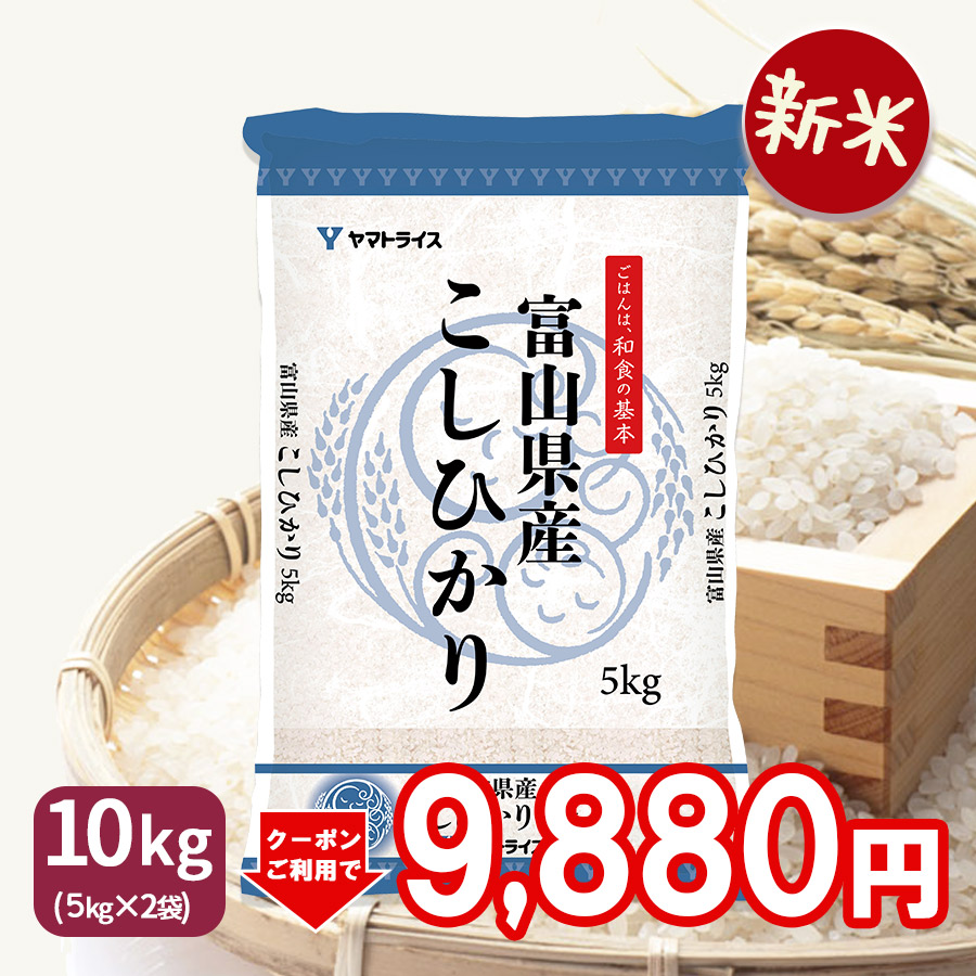 令和6年度　愛知県産　コシヒカリ15キロ精米済み 愛知県産 コシヒカリ15キロ 令和6年度産