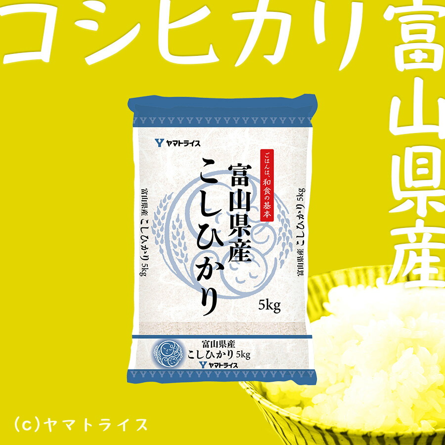 【白米10kg】キューピー！ 祝!特A】富山県産 コシヒカリ 10kg 白米 令和6年産5kg×2 ギフト