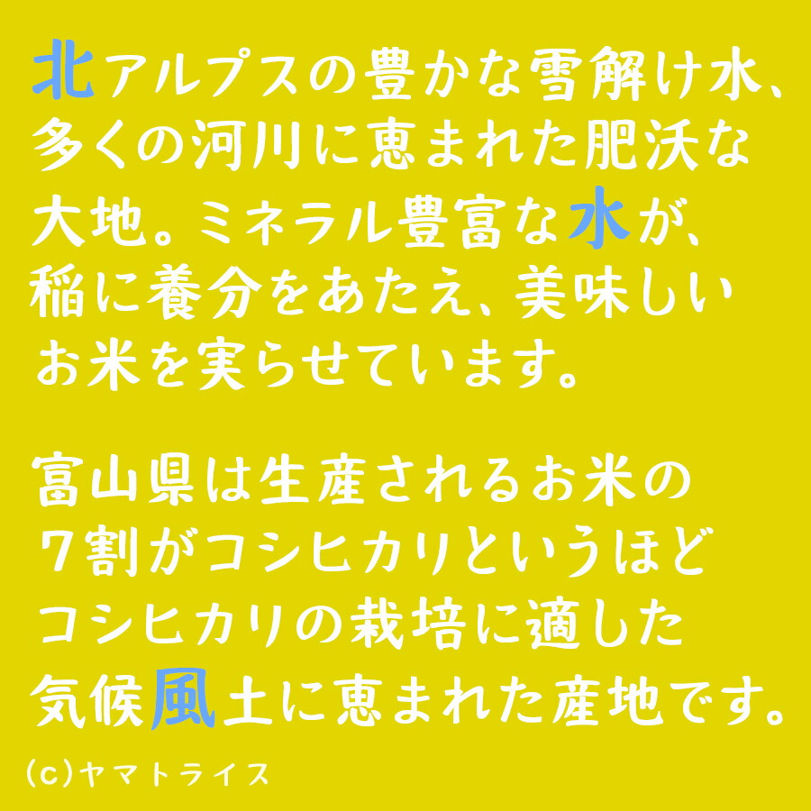 ビビ❤️プロフ必読　富山県立山産コシヒカリ 祝!特A】富山県産 コシヒカリ 10kg 白米 令和6年産5kg×2 ギフト