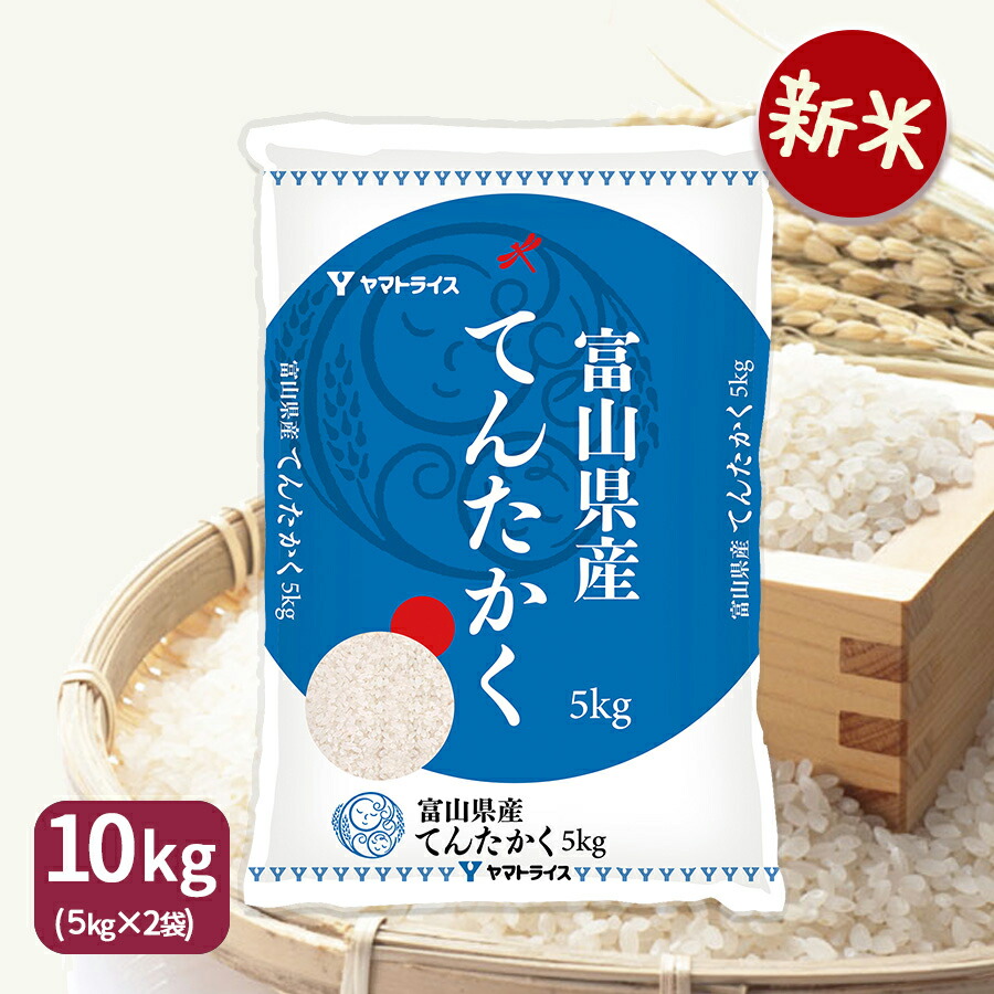 れんげ米 愛知県産コシヒカリ 白米10kg 送料無料 コシヒカリ 白米 愛知県産こしひかり10kg（5kg×2袋）