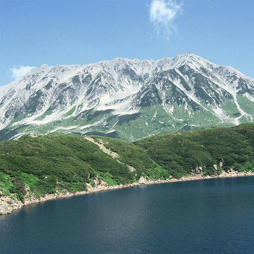 新米＞ 富山県産 コシヒカリ 10kg 白米 令和8年産5kg×2 ギフト 御祝