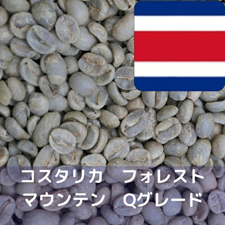 コーヒー生豆 コスタリカ フォレストマウンテン Qグレード 10kg 送料無料 コーヒー豆 自家焙煎 ギフト お中元 ドリップ 25,524円