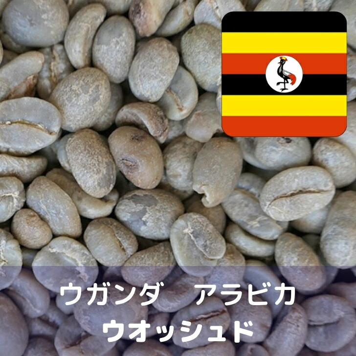 楽天市場】コーヒー生豆 グァテマラSHB サンタロッサ S17 Qグレード