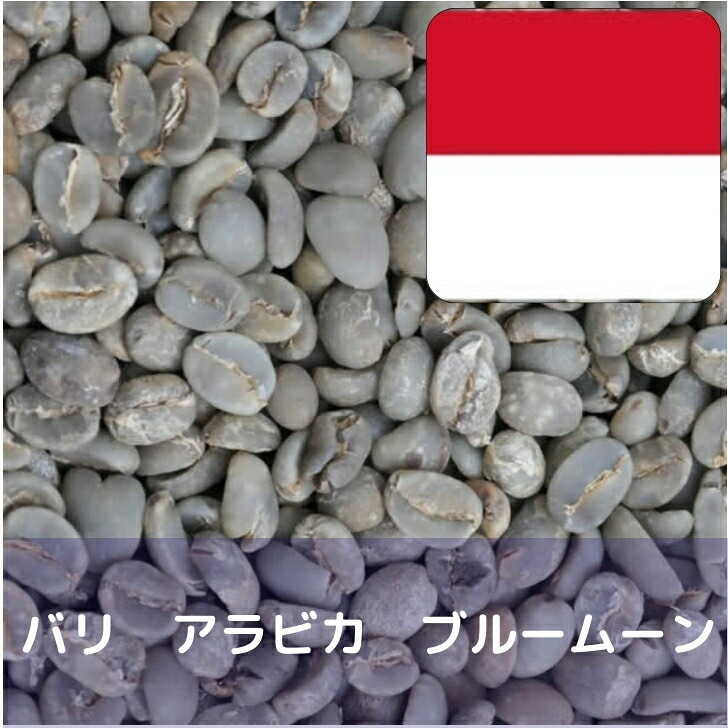 コーヒー生豆 バリ アラビカ ブルームーン 10kg 送料無料 コーヒー豆 自家焙煎 ギフト お中元 ドリップ 22,856円