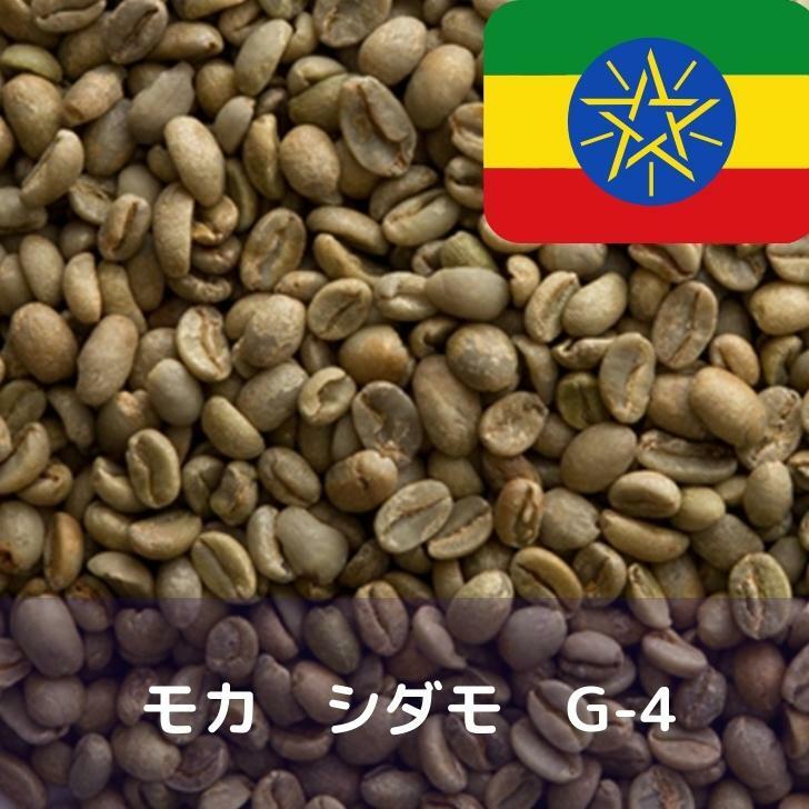 楽天市場】コーヒー生豆 モカ レケンプティ G-4 1kg 送料無料