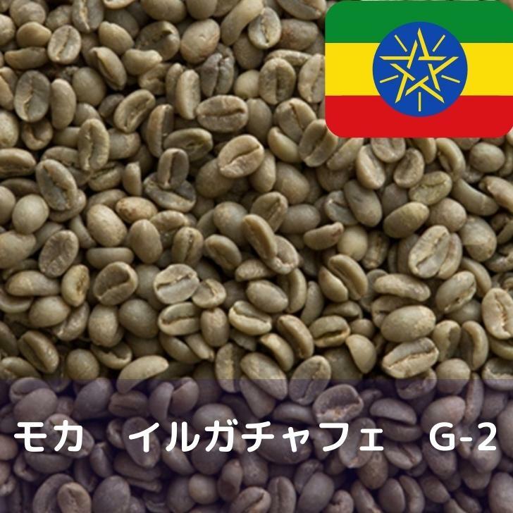 爆安!!【コーヒー生豆】モカマタリNo.9-3kg/ウガンダロブ3kg※送料無料 爆安!!【コーヒー生豆】モカマタリNo.9-3kg/ウガンダロブ3kg