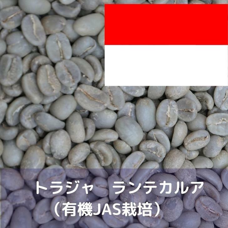 自家焙煎珈琲⭐︎珈琲豆　トラジャ coffee-007-r400g-000.jpg