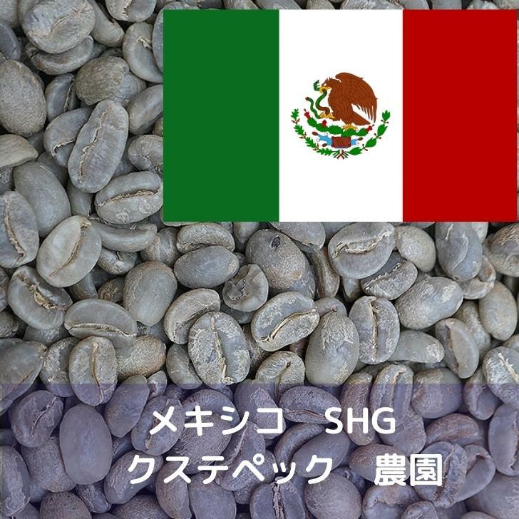 楽天市場】コーヒー生豆 モカ レケンプティ G-4 1kg 送料無料
