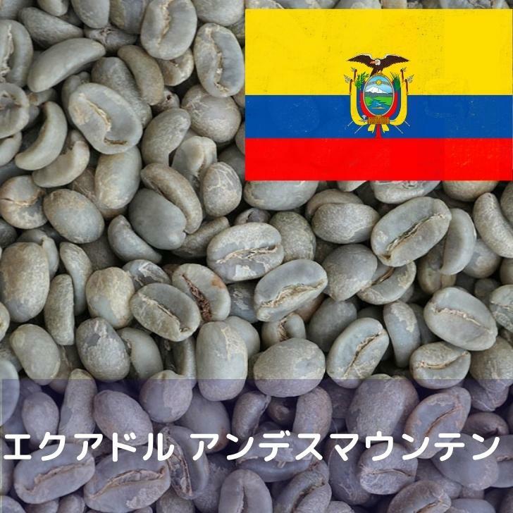 楽天市場】コーヒー生豆 モカ レケンプティ G-4 1kg 送料無料