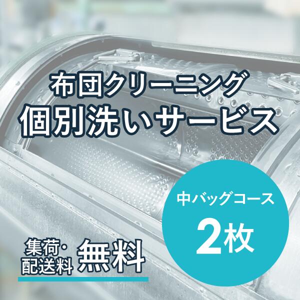 布団クリーニング 個別洗いサービス 2枚 中バッグコース 宅配クリーニング 羽毛布団 シングル 掛布団 布団カバー 送料無料 毛布 ふとん 枕 ベビー布団 防虫 安い 引っ越し クーポン おすすめ 丁寧 丸洗い セミダブル 寝具 こたつ 防ダニ 枕クリーニング シーツ 高品質
