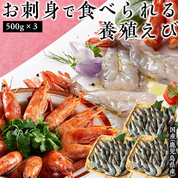 【訳あり】【在庫入替】【配送日指定不可】【 送料無料 】 白姫えび 500g×3個セット(1.5kg)［ えび エビ 海老 バナメイ 国産 国内養殖 甘い 刺身 カルパッチョ エビチリ えびチリ 取り寄せ グルメ 日本水産 プレゼント 内祝い 送料無料 お祝い 食べ物 海鮮 ］