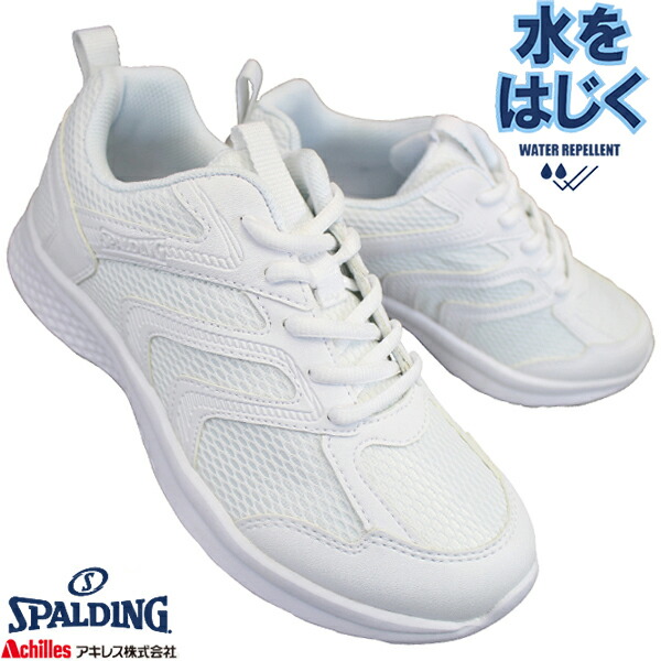 spl-000380-0101a1.jpg