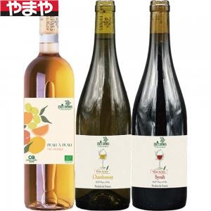 楽天市場】【送料無料】DDS EXOSOME エクソソーム ドリンク 臍帯