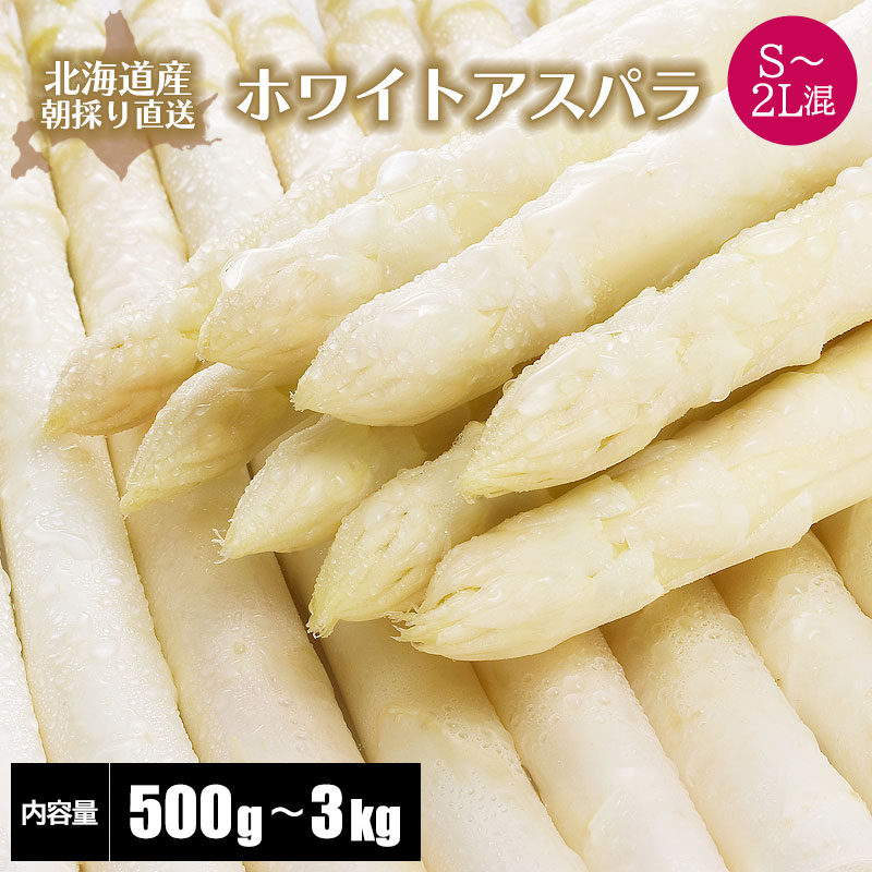 【2026年度収穫 予約】北海道産 ホワイトアスパラガス S~2L混 500g/600g/800g/1kg/1.5kg/2kg/2.5kg/3kg 北海道 ホワイトアスパラ 産地直送 産直 春 旬 北海道 アスパラ アスパラガス 露地