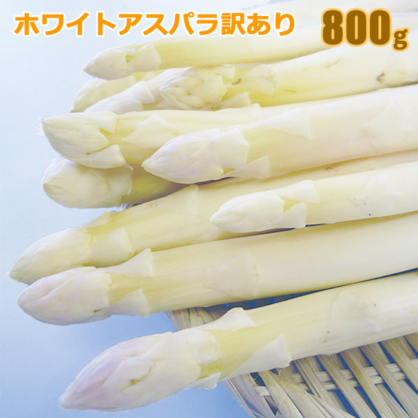 ホワイトアスパラガス 800g（Ｓ〜２Ｌ混） 送料無料 訳ありホワイトアスパラガス 朝採り 白いアスパラガス を産地直送 旬の北海道産 北海道 ホワイトアスパラ 訳あり