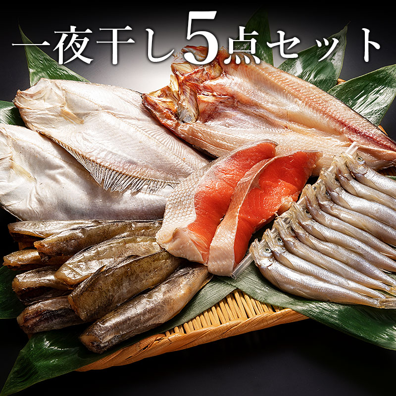 一夜干し5点セット【開きほっけ・ししゃも(メス)・紅鮭・宗八かれい・氷下魚(こまい)】にも最適！北海道産の一夜干し