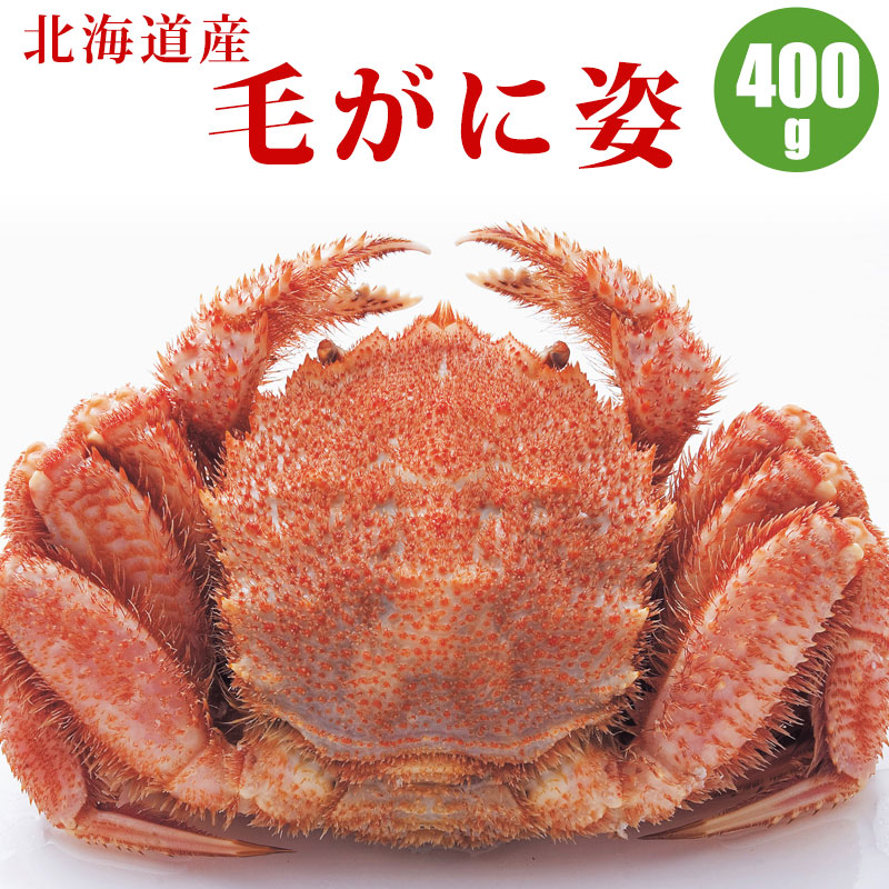 【北海道産】毛ガニ 毛蟹 400g １尾／２尾／３尾／４尾／５尾 北海道 カニ 毛蟹 蟹通販 海鮮ギフト 蟹ギフト