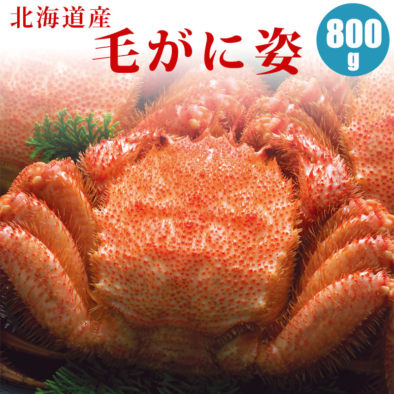 【北海道産】毛ガニ 毛蟹 800g １尾／２尾／３尾／４尾／５尾 北海道 カニ 毛蟹 蟹通販 海鮮ギフト 蟹ギフト