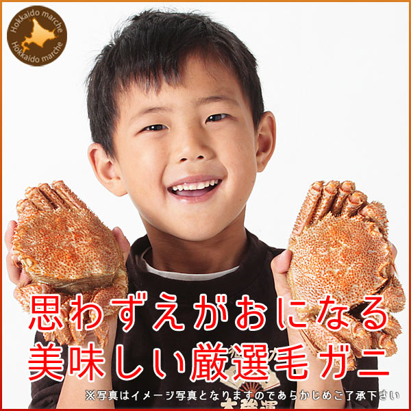 毛ガニ