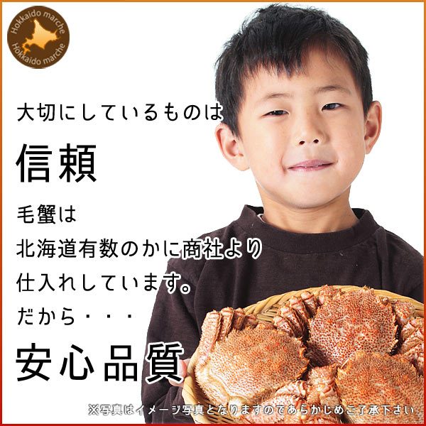 毛ガニ
