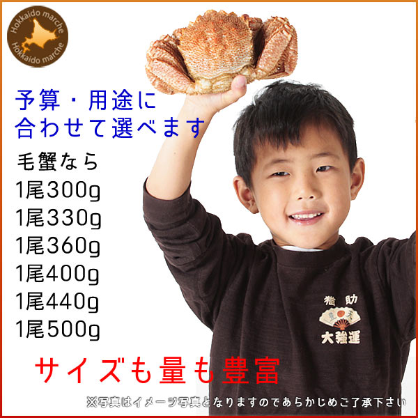毛ガニ