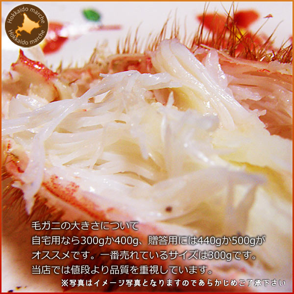 毛ガニ