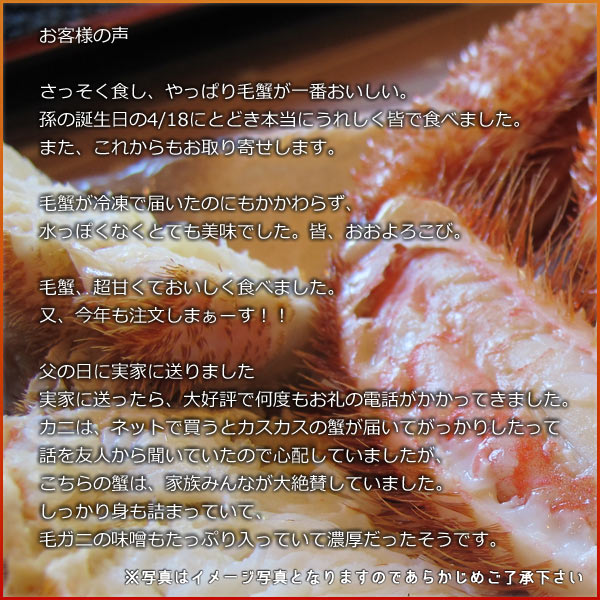 毛ガニ
