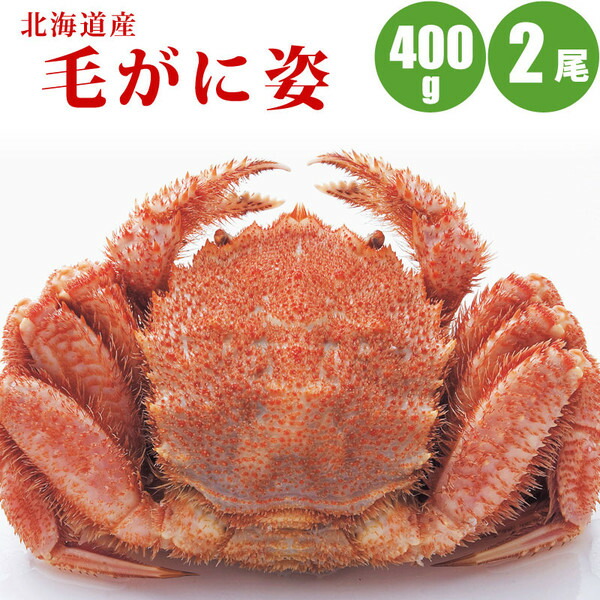 出色 毛ガニ 400g × 2尾 北海道 カニ 毛蟹 内祝 海鮮ギフト お返し プレゼント お祝 御祝 誕生日 ギフト 贈り物 お取り寄せ  北海道ギフト 父の日 お中元 御中元 暑中見舞い 夏ギフト fucoa.cl