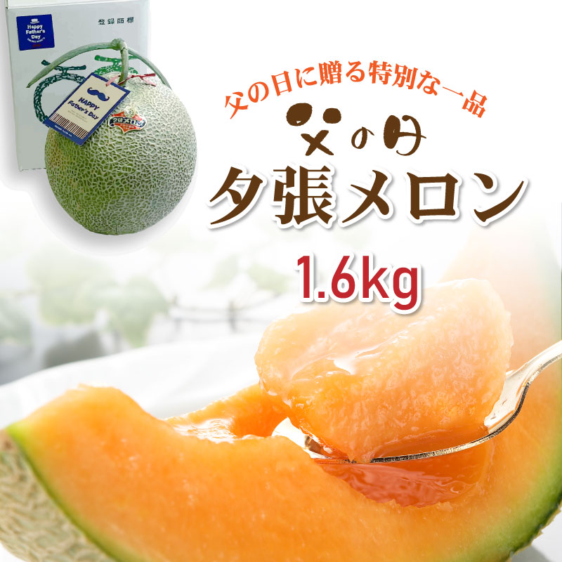 【予約】 父の日 2025年 夕張メロン 1玉/共撰・優の夕張メロン 選べるサイズ1.3kgと1.6kg 北海道メロン 旬のフルーツの贈り物  果物 父の日予約　6月12～15日到着予定 ちちの日
