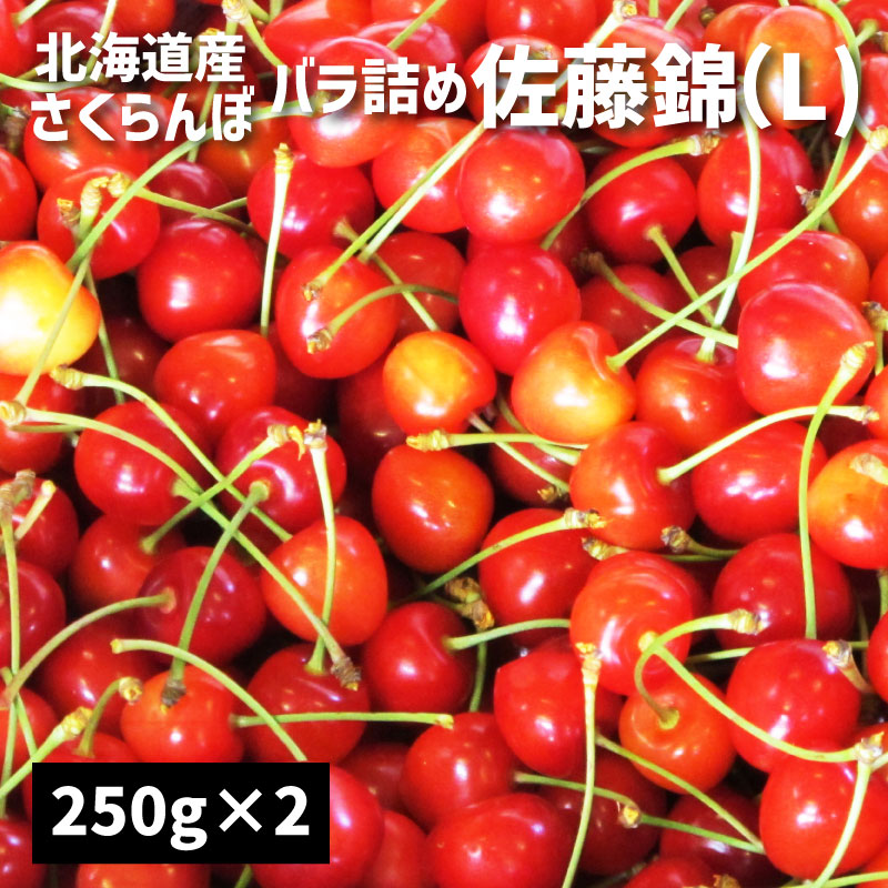 【予約】 甘熟 さくらんぼ 「 佐藤錦 L 250g × 2個 」 自宅向け バラ詰め 北海道 サクランボ お取り寄せ 北海道産