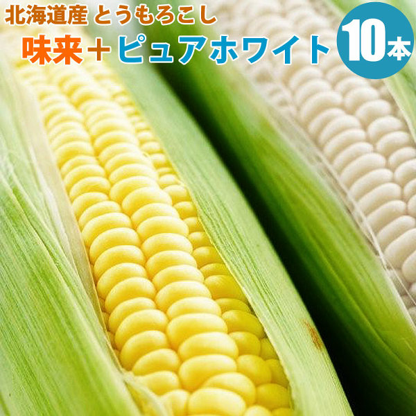 とうもろこし 味来 みらい 5本＋ ピュアホワイト 5本 食べ比べセット 北海道 とうもろこし 産地直送 送料無料 朝もぎ トウモロコシ ギフト 贈り物 贈答 プレゼント 内祝い お取り寄せ 食べ物 食品 贈物 贈答品 通販 