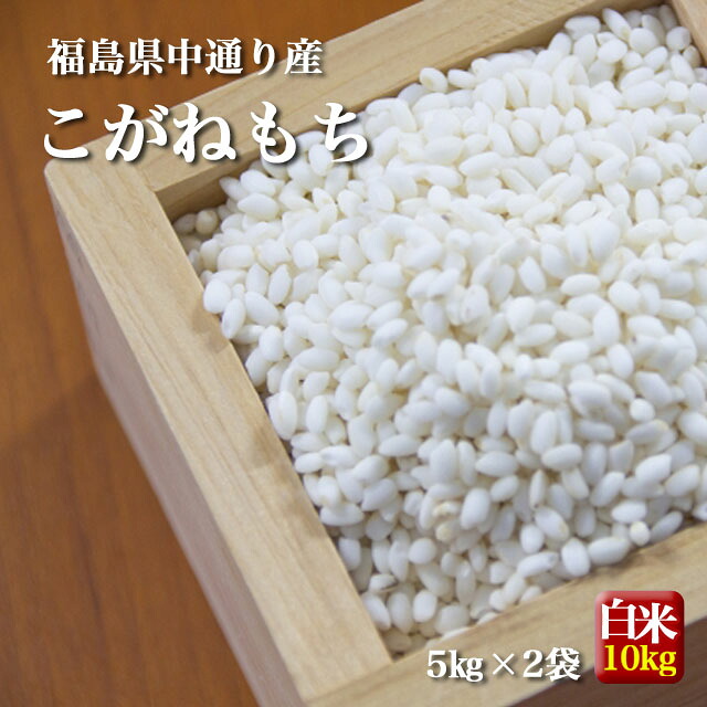 もち米 福島県中通り産 こがねもち 白米:10kg(5kg×2個) 令和7年産【送料無料】※一部地域を除く