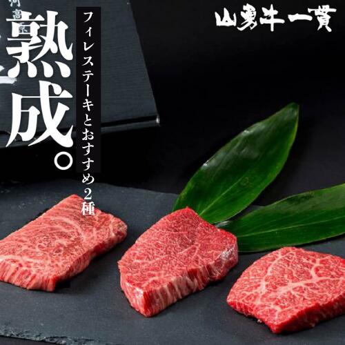 【真空冷凍発送】熟成飛騨牛 山勇牛 フィレとおすすめ部位２種ステーキ食べ比べセット（100g×3）