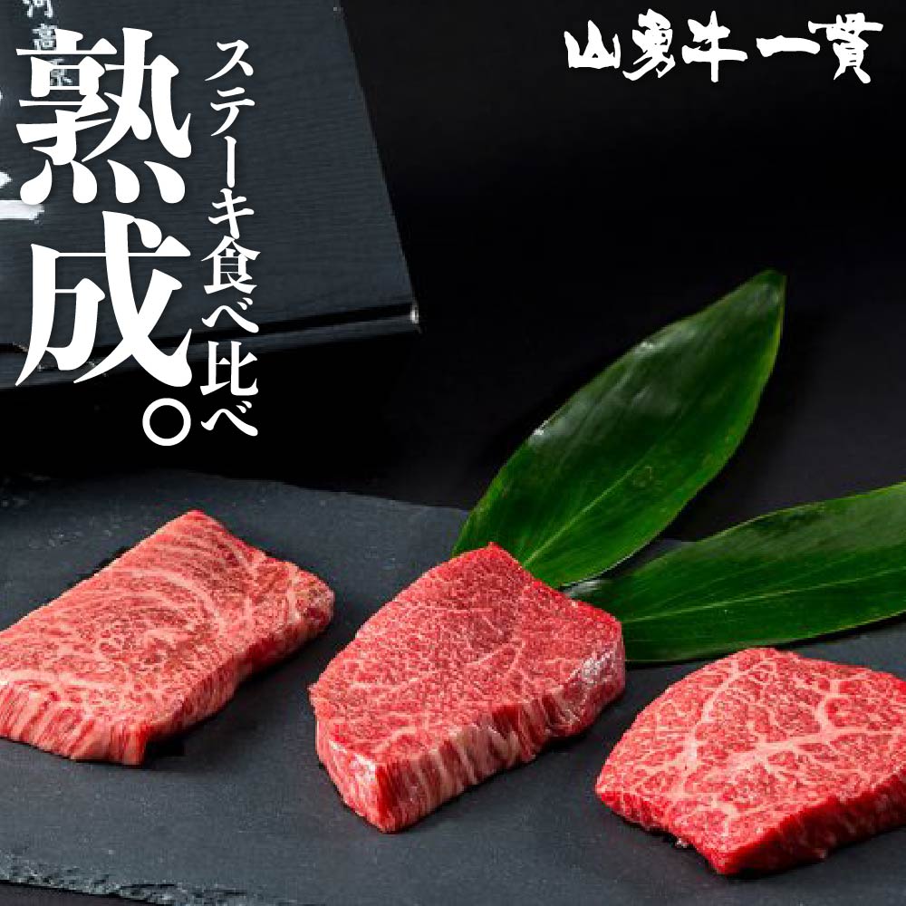 熟成飛騨牛 山勇牛  シャトーブリアンステーキ用 150g×2 フィレ ヒレ 稀少部位 シャトーブリアン ステーキ A4 A5 飛騨牛 和牛 メス牛 雌牛 牛肉 冷蔵 熟成肉 熨斗対応 父の日ギフト お誕生日 還暦 贈答用 ブランド牛 山勇畜産 肉ギフト 熨斗 外のし 稀少部位 [R]