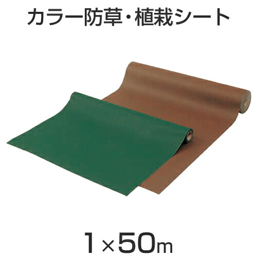 マラソン+4倍日 タカショー 防草・植栽シート 「カラー防草・植栽シート」 50ｍ巻 グリーン/ブラウン 幅1ｍ×長さ50ｍ/50m&sup2; マット/ロール/ガーデニング/除草シート/防草シート/地表用